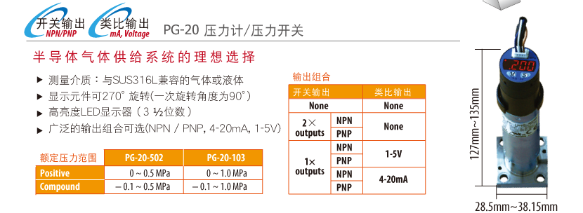 PG-20壓力計/壓力開關